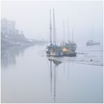 Estuary mist