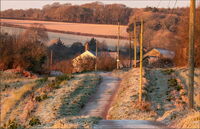 Frosty Road