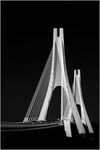 The Bridge