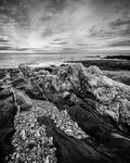 Torcross