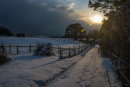 Wheelbarrow tracks