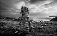 Driftwood Beacon
