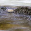 Rock and Water