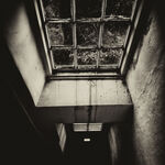 The window above the door