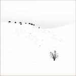 Winter Grazing