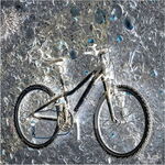 Abandoned bike in estuary mud