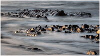 Goldenrocks