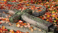 The Fallen