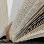 Bookworm