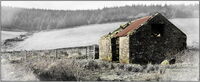 The Barn