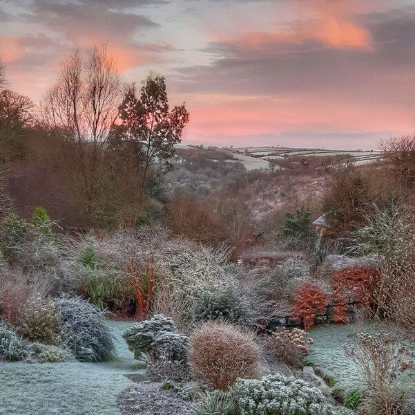 Dawn New Years Day 2021
