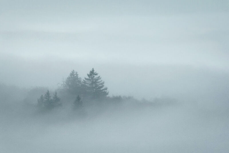 Rising Above the Fog