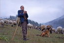 A Pastural Tune