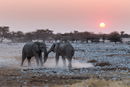 African Sunset