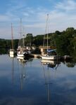 An early stroll along the Kingsbridge Estuary 7