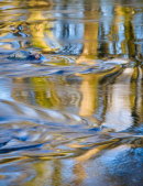 Autumn Ripples