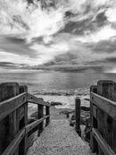 Beesands Steps