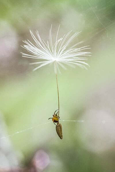 Hitching a ride