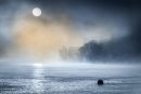 Clearing Mist, Dartmouth Castle