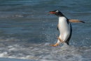 Coming Ashore