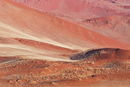 Desert Patterns