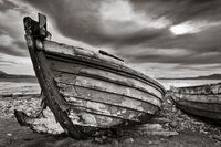 David Shawe