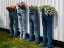 Flower show