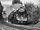 Flying Scotsman