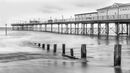 Grey day