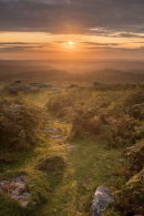 Hayne Down Sunrise