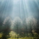 Illumination