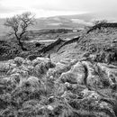 Limestone pavement