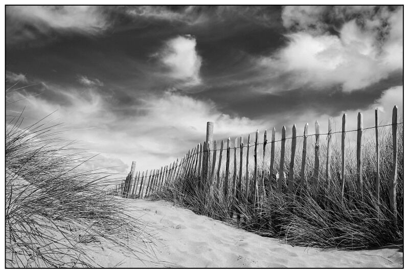 Bantham dunes