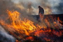 Managing the blaze
