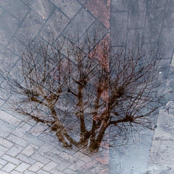 Just one Image