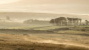 Misty Morning, Crockern Tor