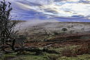 Morning Mist On Dartmoor