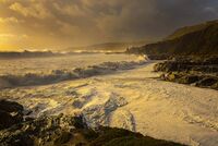 Winter Great Mattiscombe