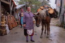Preparing for Winter, Rhodopi Mountains