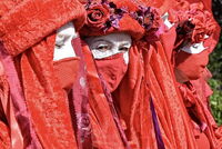 Red Rebels