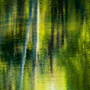 Reflection of Spring
