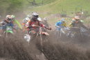Roost (Mud) Flying