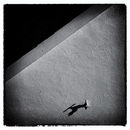 Shadow on Tap