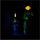 Spirit Rose