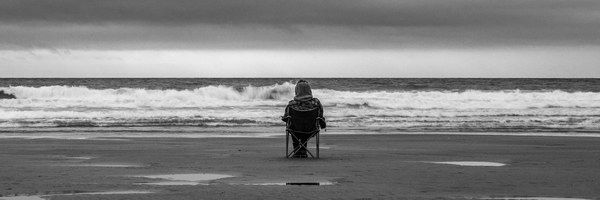 The Watcher