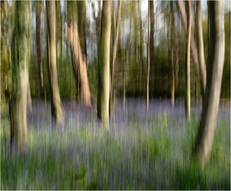 Impressions of Spring