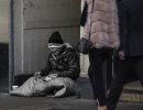 To Have and Have Not