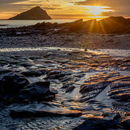 Wembury Gold