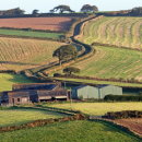 Winding lane to farm