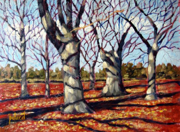 Autumns gone and Winters here